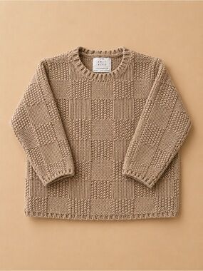 Zara Baby Boy Camel Chunky Knit Sweater 12-18M